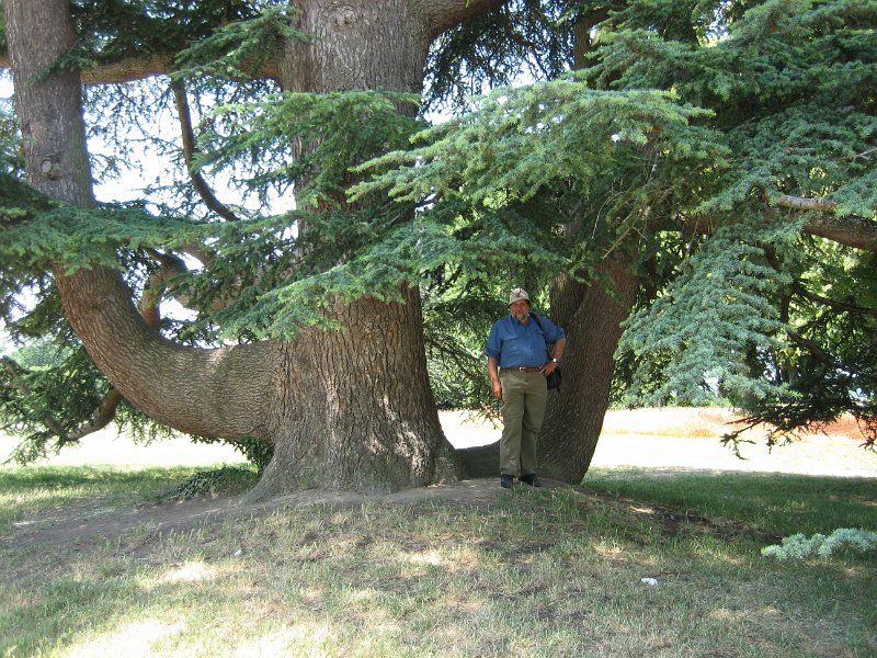 20060613_397_Chaumont_kasteel_Jan_bij_boom.JPG - Naaste het kasteel ligt een stokoud park, dat tegenwoordig Unesco Werelderfgoed is. Enorme bomen ...