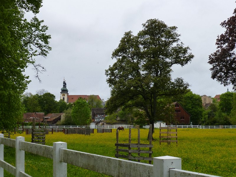 004-Donaueschingen.JPG - Donaueschingen