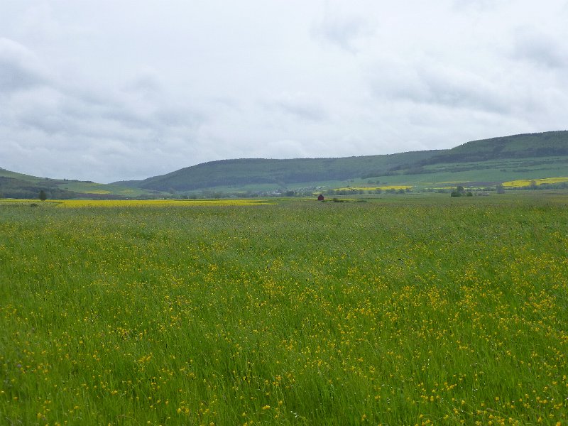 008-Landschap.JPG - Dit is het typische landschap voor de eerste 60 kilometer