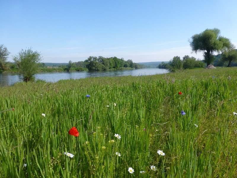 075-tussenEiningEnStaubing.JPG - De volgende ochtend (28 mei) is het ineens prachtig weer, De Donau nabij Staubing