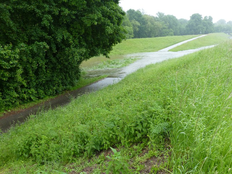 101-NabijWörth.JPG - Nabij Wörth kruisen we de Wildback. Die heeft het fietspad overstroomd en staat ook verderop flink buiten zijn oevers.