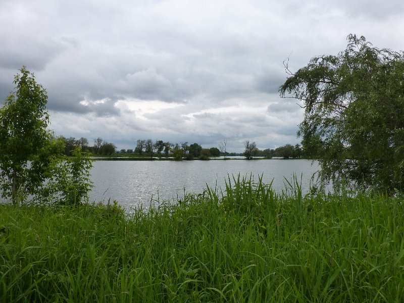 110-nabijHofkirchen.JPG - Hier staat het water nu ook hoog in de Donau. Ondergelopen "Auen" bij Hofkirchen