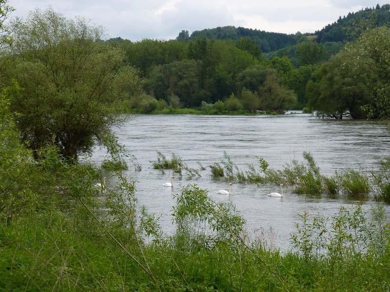 112-nabijVilshofen.JPG - Ondergelopen Donauoevers bij Windorf