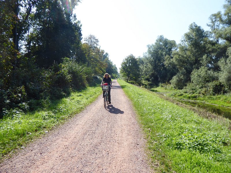 P1030280.JPG - Fietsend over de zomerkade van de Rijn, ten zuiden van Kehl.