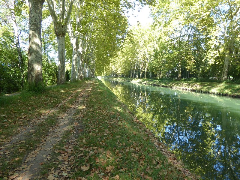 P1030299.JPG - Dan fietsen we weer terug naar Straatsburg langs het Canal du Rhône au Rhin.