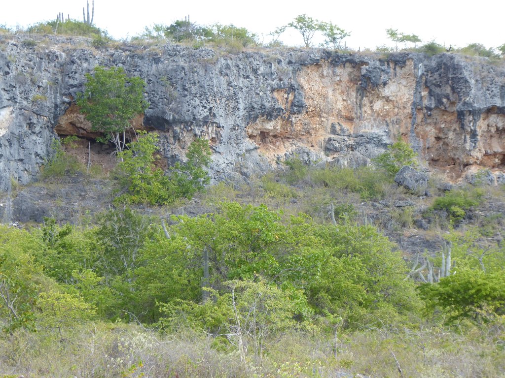 P1030454.JPG - Verweerde rotsen (zeker 50 meter hoog!) ten N. van Kralendijk. Hoe komt die horizontale band daar?