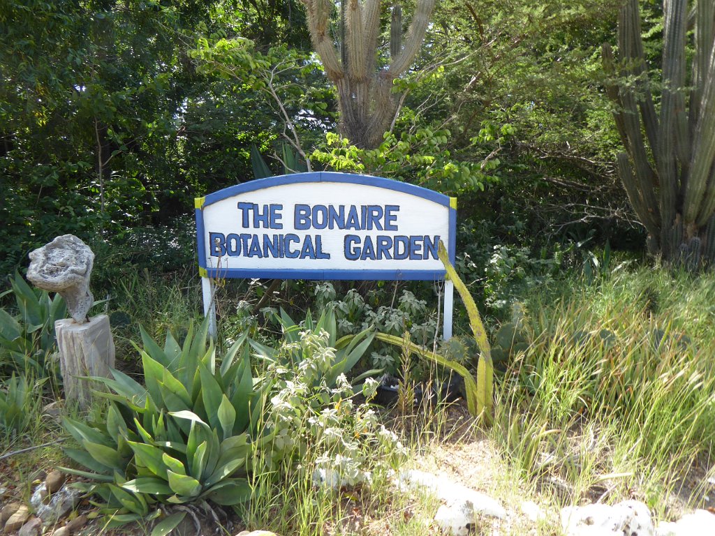 P1030533.JPG - Waar ik ook ben, ik ga altijd naar de Botanische tuin.