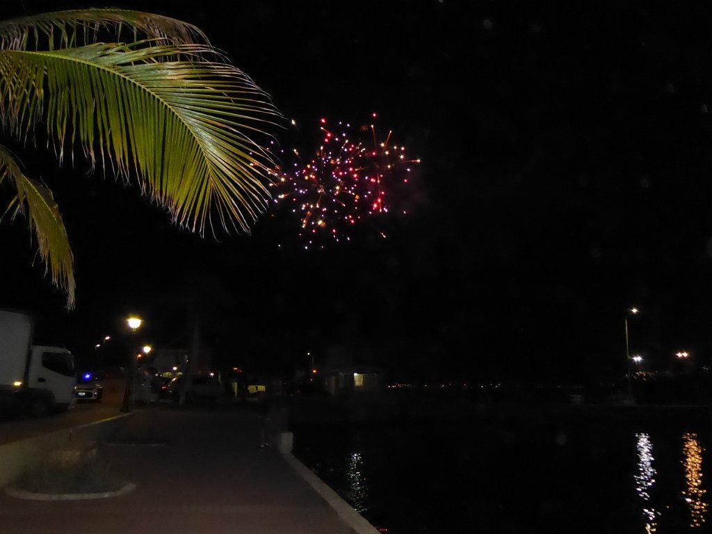 P1030636.JPG - Vrijdagavond: Vuurwerk boven de Boulevard. Zo blij waren ze met hun nieuwe 3PAR ... nee, nieuwjaarsreceptie van de RCN, afgesloten met vuurwerk. 