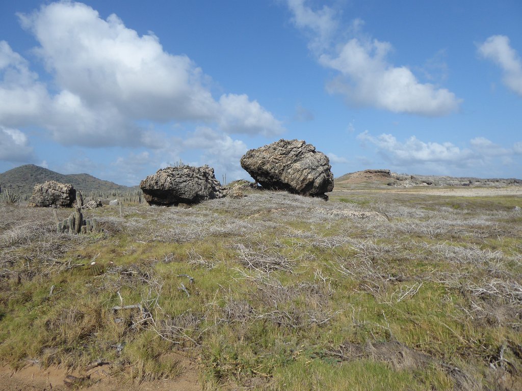 P1030821.JPG - Deze stenen, elk zo'n drie meter hoog, zijn door een tsunami op het eiland geworpen. Mijn cursisten discussieerden over Disaster Recovery oplossingen: zo'n tsunami zou weer kunnen komen!