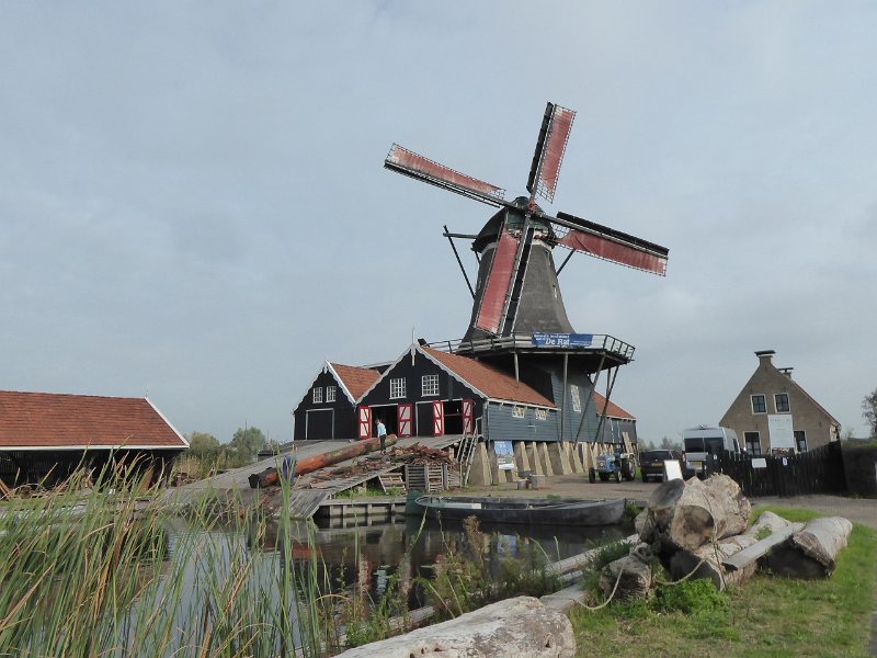 P1090169.JPG - We vallen met onze neus in de boter. We zijn om een uur of 11 bij de molen. Daar gaan ze dan net een dikke stam verzagen!