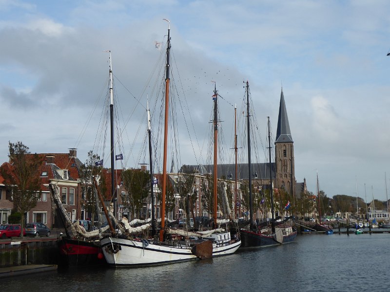 P1090307.JPG - De Zuiderhaven. Als je goed kijkt zie je de spreeuwen zwermen.