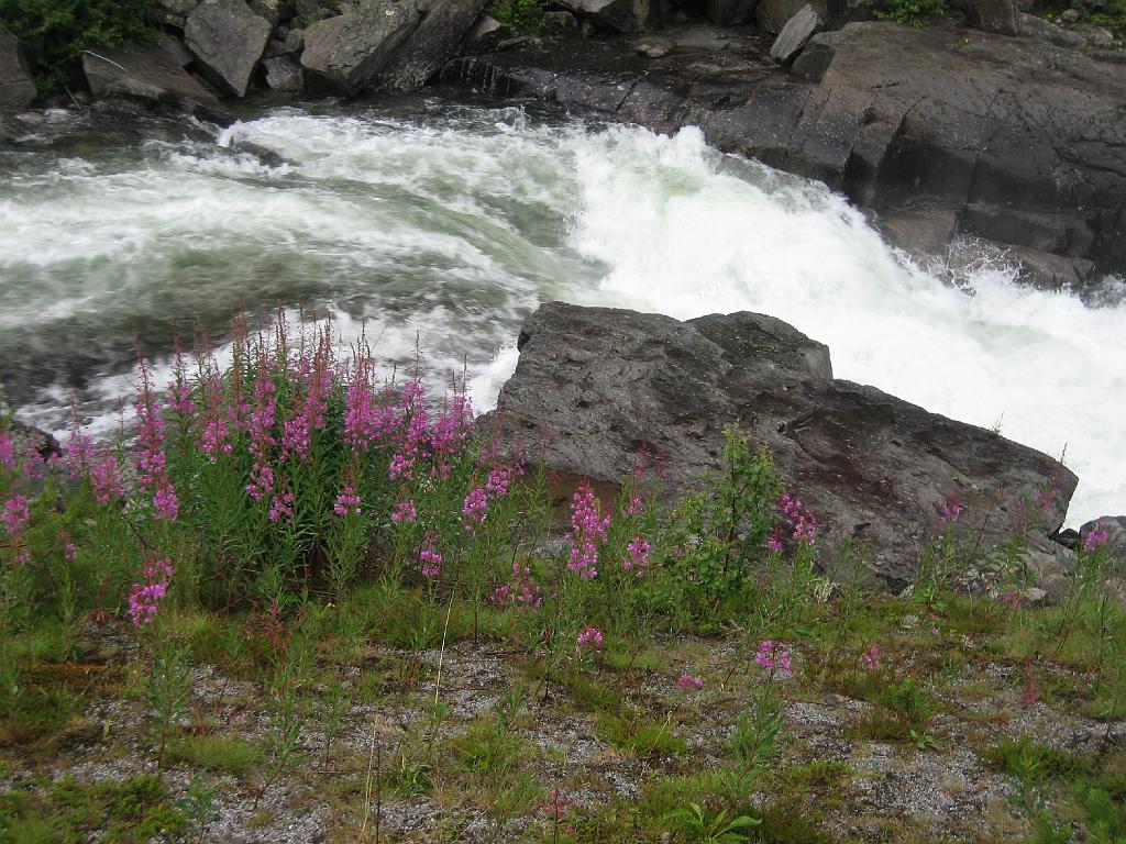 5568_Bergrivier.jpg - Waarom we nooit in Bergen zijn gekomen? Veel te veel te zien onderweg. Een waterval, zò maar, vlak naast de weg!