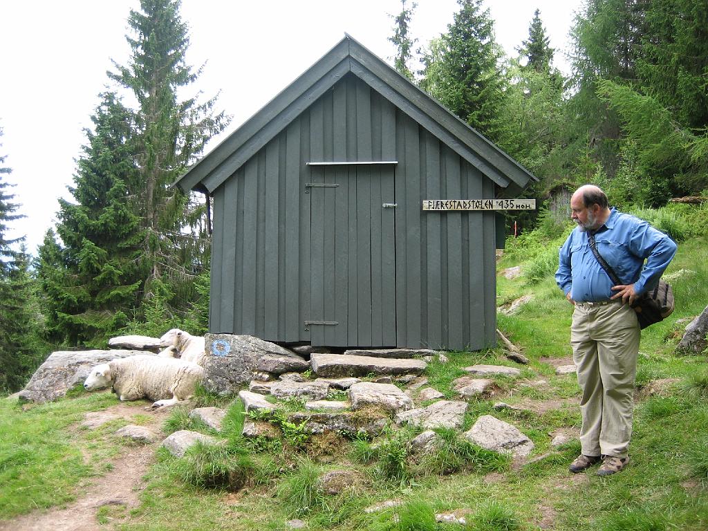 5956_BalestrandJS.jpg - Jan op het hoogste punt. De schapen waren touristen gewend en mekkerden knorrig naar ons.