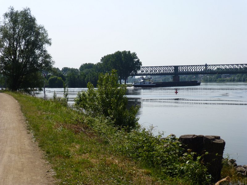 P1060156.JPG - Bij Mainz mondt de Main uit in de Rijn. In één dag van Koblenz naar Mainz gefietst, zo'n 105 kilometer.